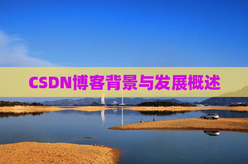 CSDN博客背景与发展概述